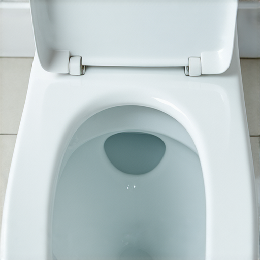 馬桶不開蓋，竟隱藏這樣的問題！點擊了解解決方案！