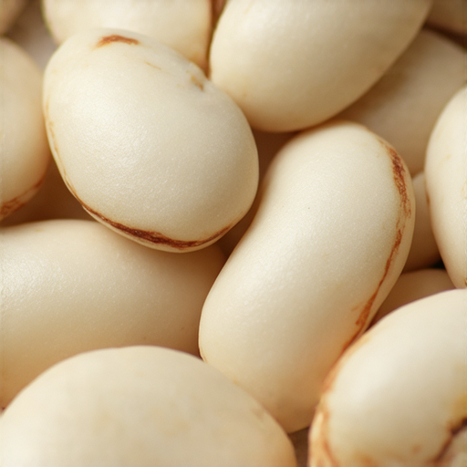 「白腎豆的神奇功效！立即了解並提升你的英文溝通技巧！」